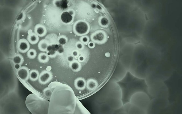 Pharmaceutical Microbiology Conference.jpg